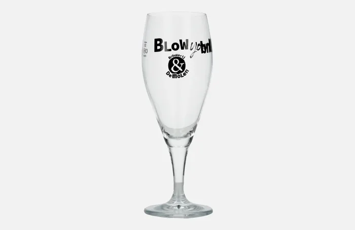 De Molen Bierglas 0,3l